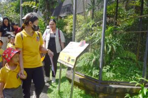 Bali Bird Park 2024 1