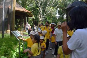 Bali Bird Park 2024 10