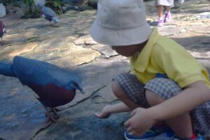 Bali Bird Park 2024 4